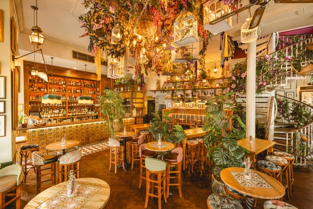 Mr Fogg's House of Botanical