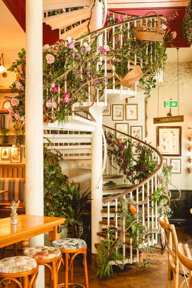 Mr Fogg's House of Botanical