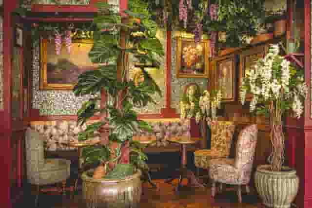 Mr Fogg's House of Botanical