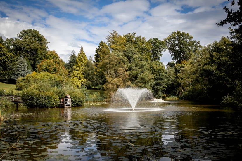 Harry Clarke by tranquil pond at Ashdown Park Hotel, perfect for outdoor events and retreats.