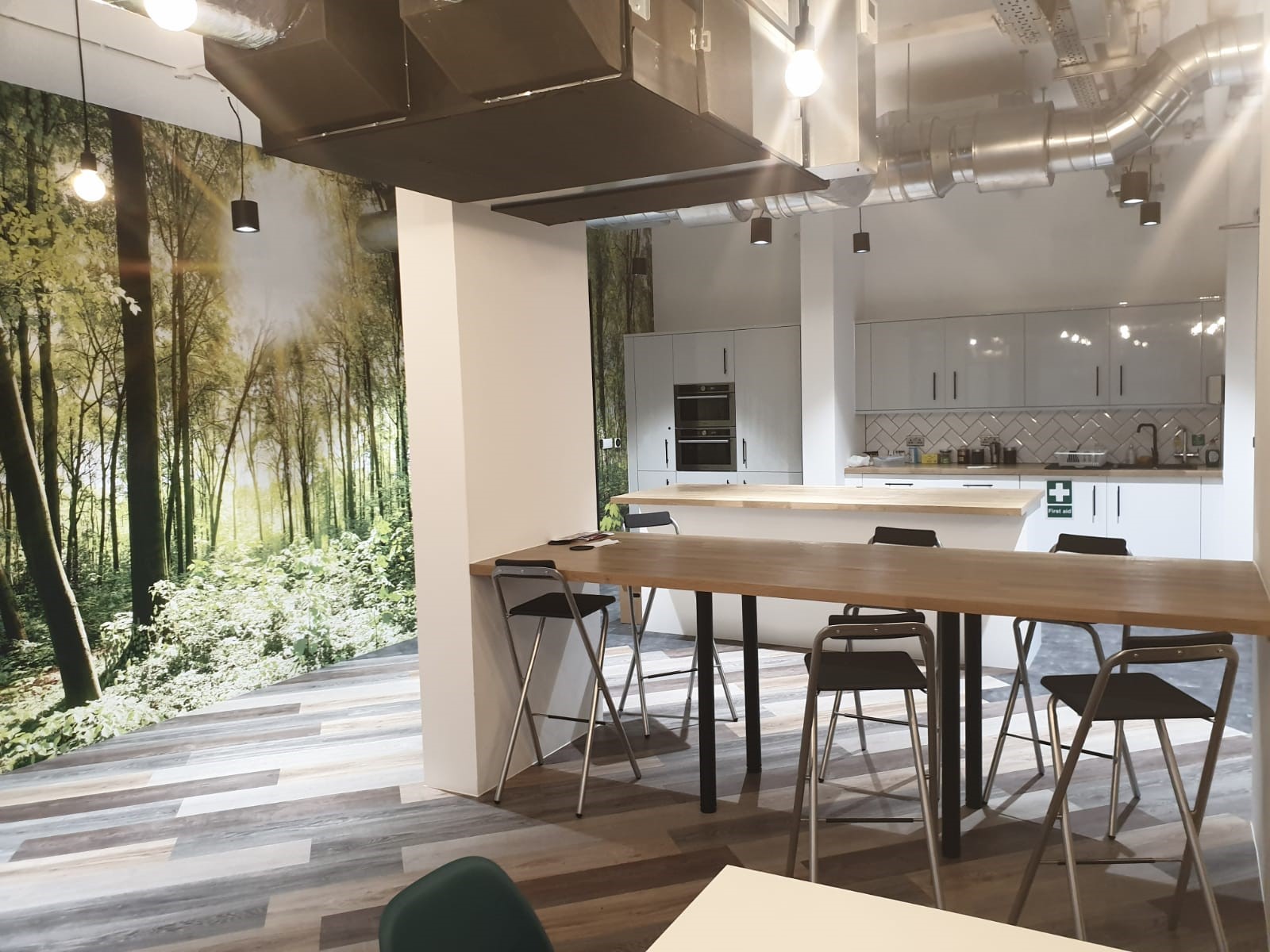 Modern meeting space at Vandon Rooms, featuring a nature mural for events and collaboration. - Banner