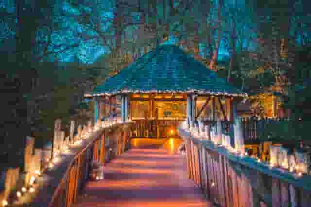 Treehouse at The Alnwick Garden