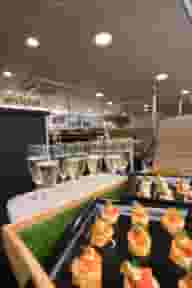 Promotional Spaces