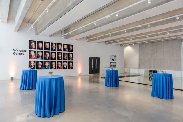 Wigoder Gallery