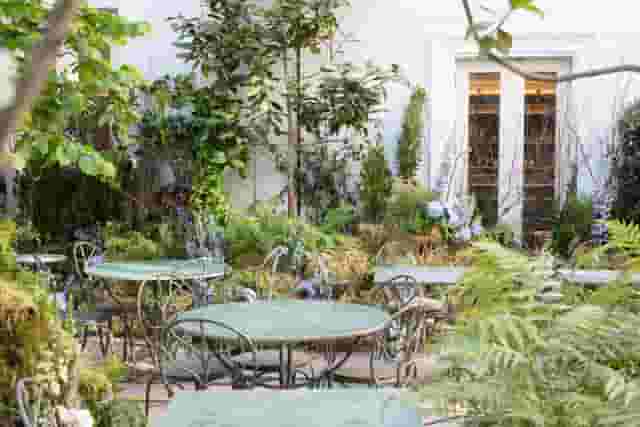 The Petersham 