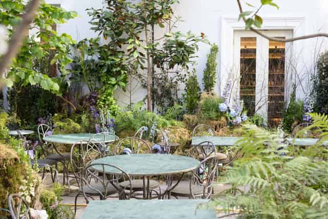 The Petersham 