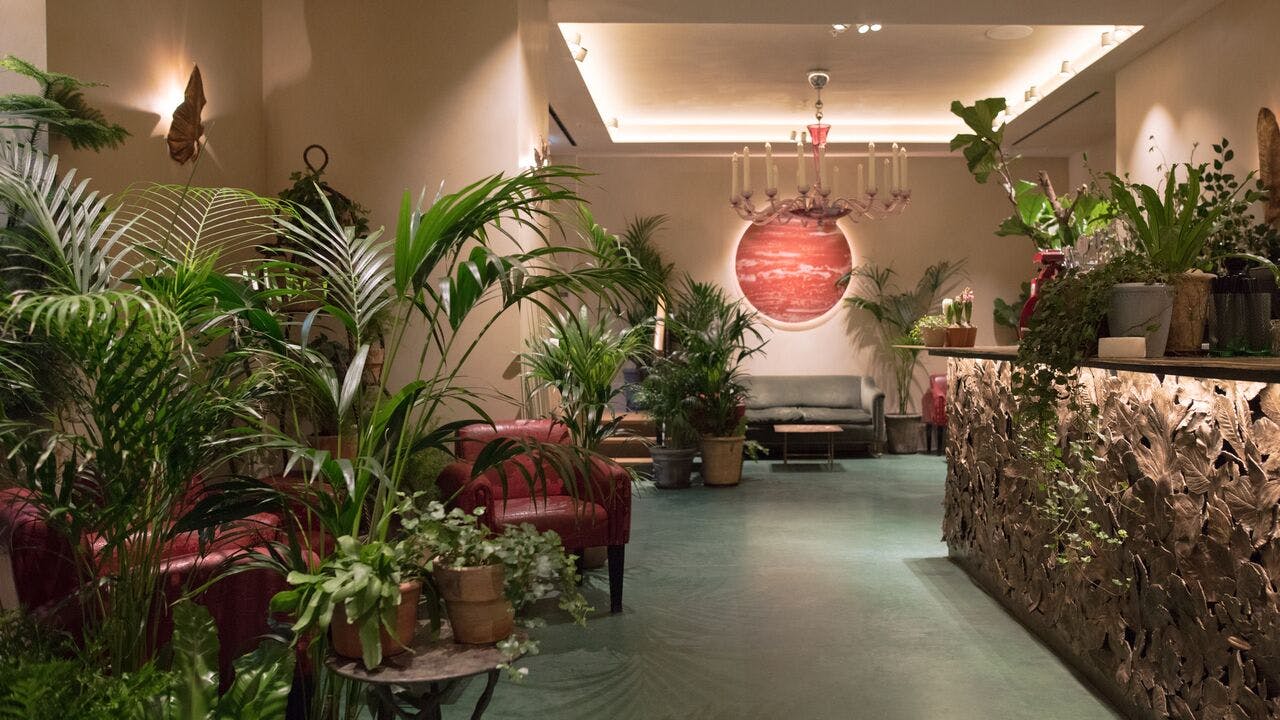 Stylish lobby at La Goccia, Petersham Nurseries, perfect for events and networking.