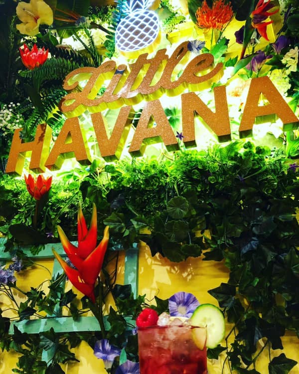 Little Havana room at Embargo Republica with vibrant tropical decor for themed events.