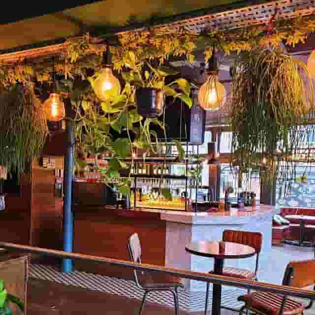 The Grafton
