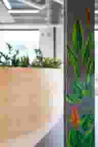 Therapy Rooms