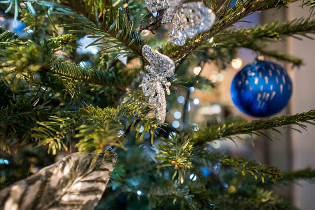 Christmas 2019