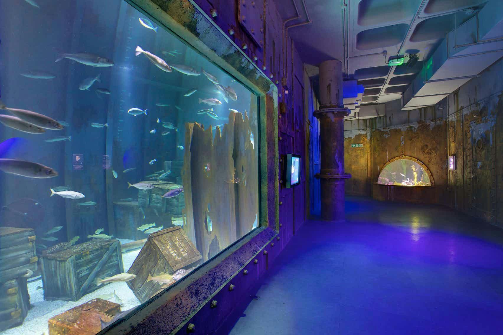 Underwater-themed venue at Bristol Aquarium for unique events and receptions.