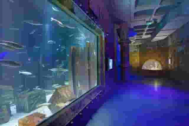 Bristol Aquarium