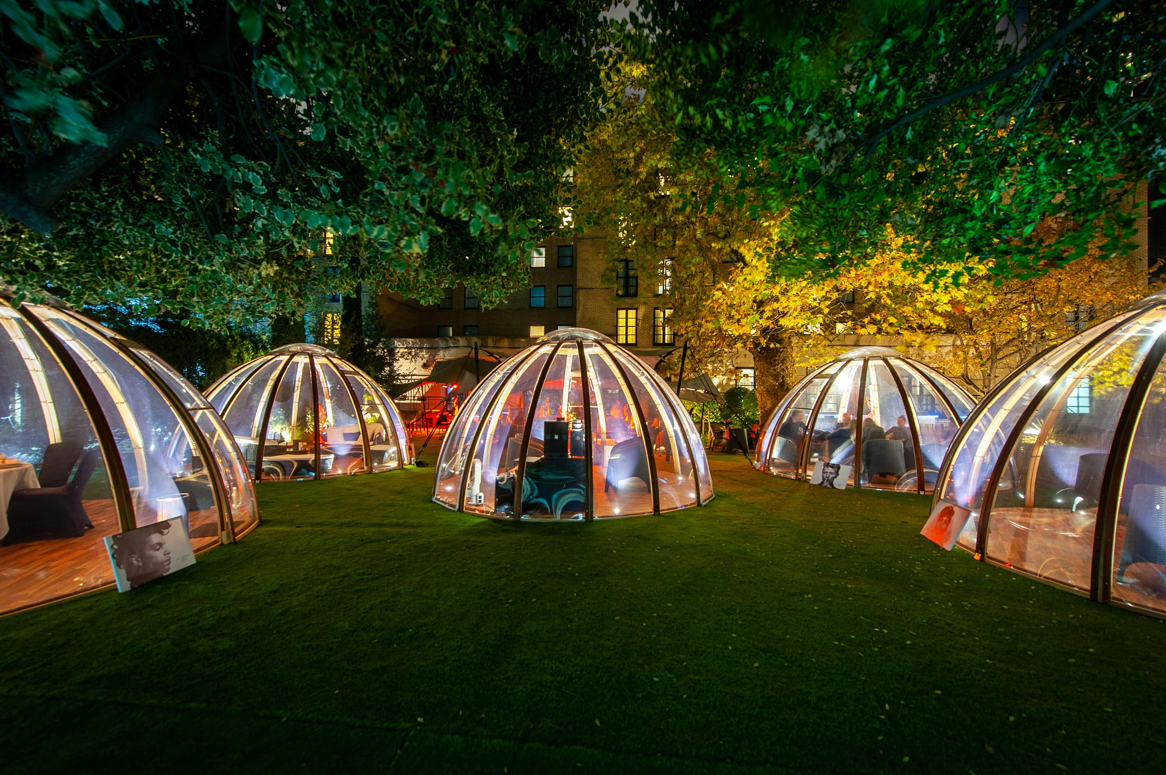 Transparent domes illuminated for intimate outdoor gatherings in lush greenery.