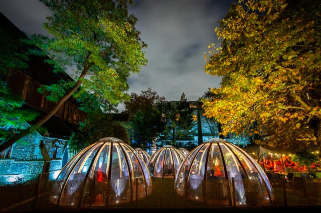The Domes