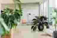 Networking Venues