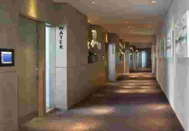 XRay Suite