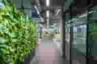 Meeting Rooms
