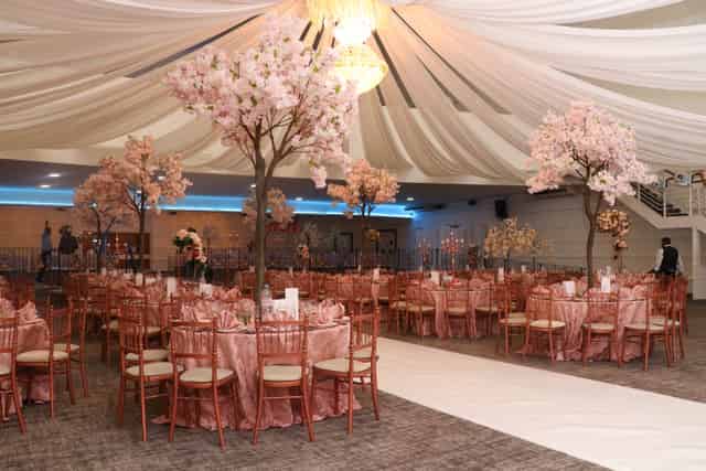 The Mayfair