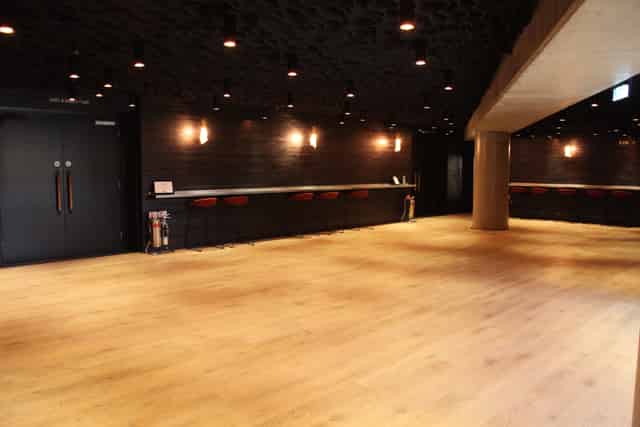 Lower Foyer