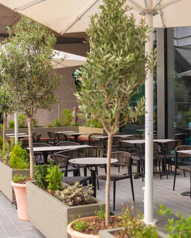The Terrace