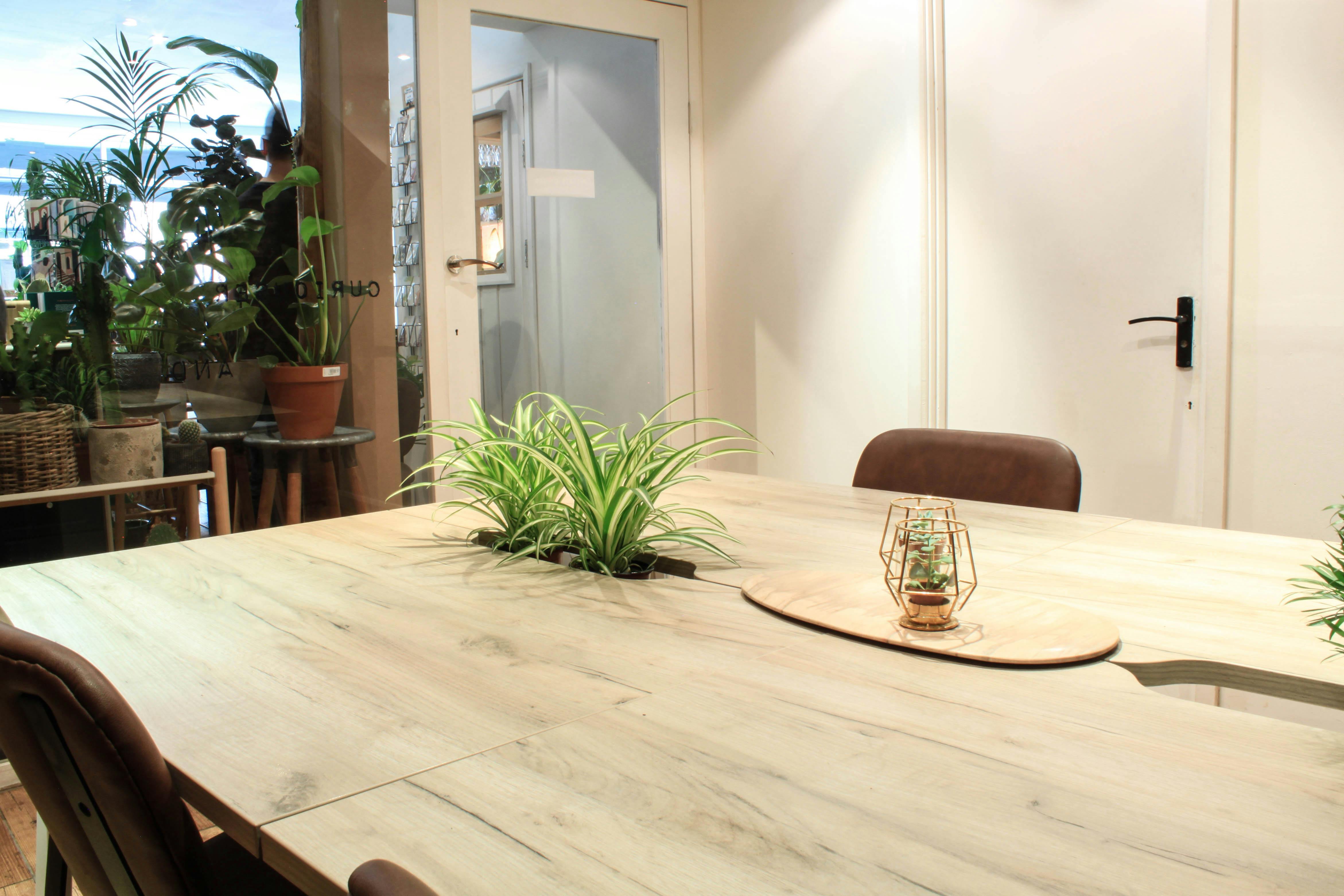 Modern meeting room with wooden table and plants for collaborative sessions at The Travel Café.