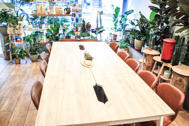 Modern meeting room with wooden table and greenery, perfect for workshops and brainstorming.