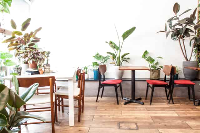 The Travel Café