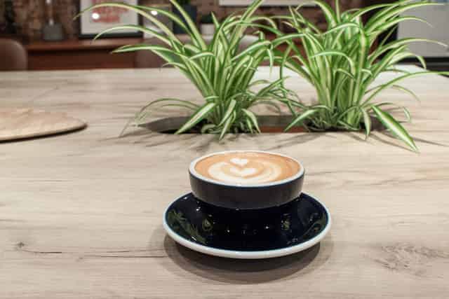 The Travel Café