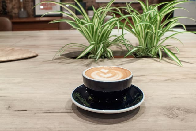 The Travel Café