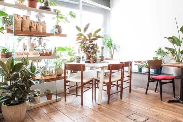 The Travel Café