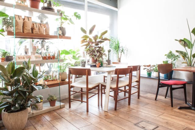 The Travel Café