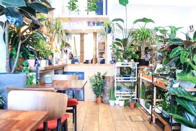 The Travel Café
