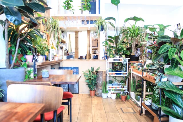 The Travel Café