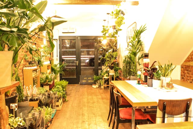 The Travel Cafe Holloway