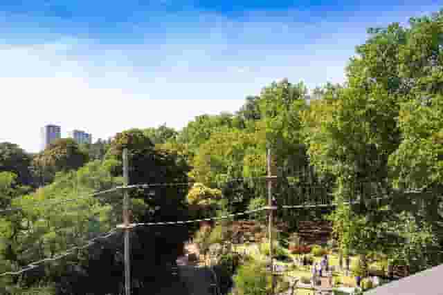 Go Ape - Battersea