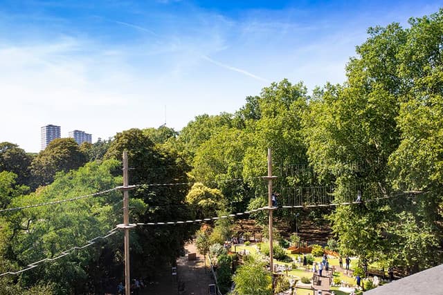 Go Ape - Battersea