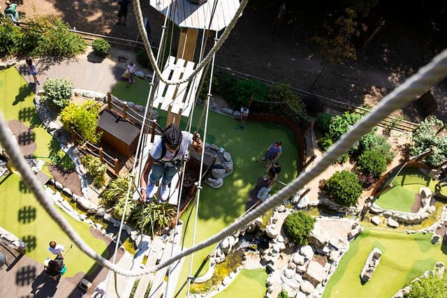 Go Ape - Battersea