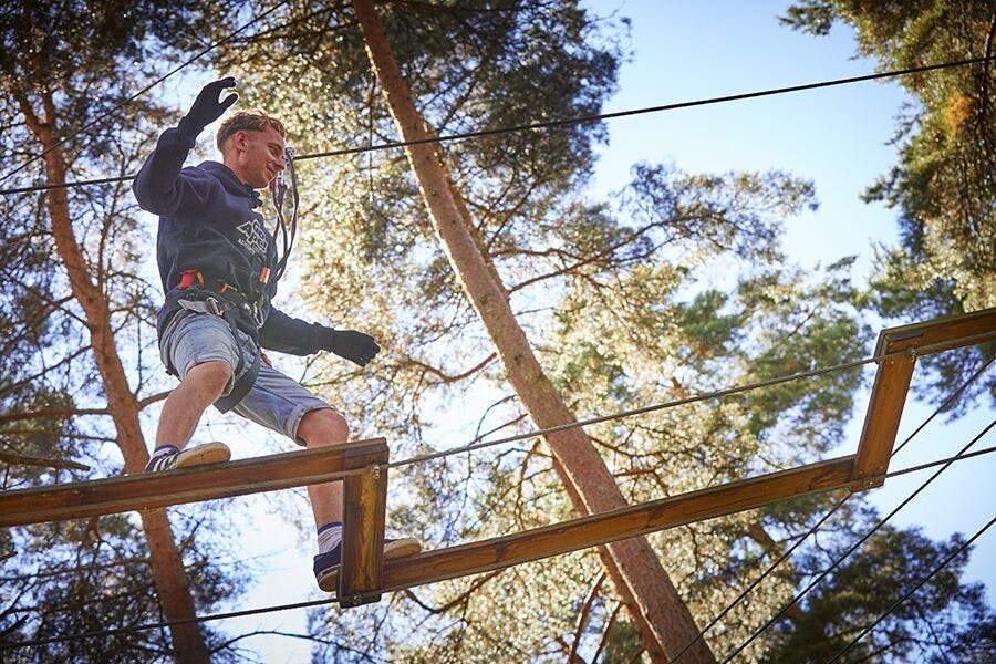 Individual on high ropes course at Go Ape Cockfosters for team-building event.