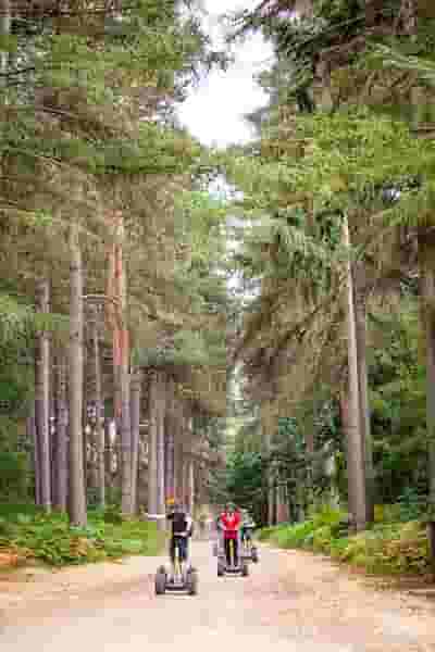 Go Ape - Black Park