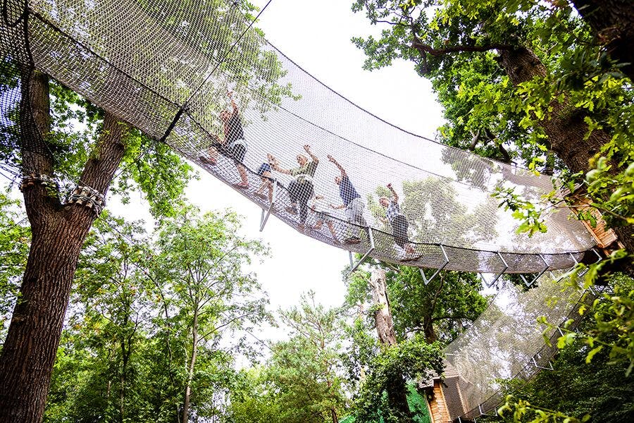 Outdoor team-building at Go Ape Black Park with suspended net walkway among trees.