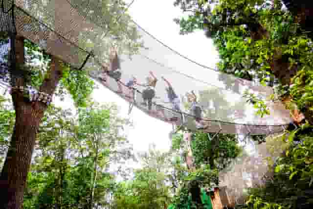 Go Ape - Black Park