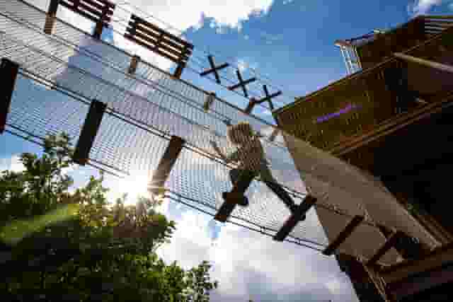Go Ape - Alexandra Palace