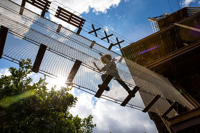 Go Ape - Alexandra Palace