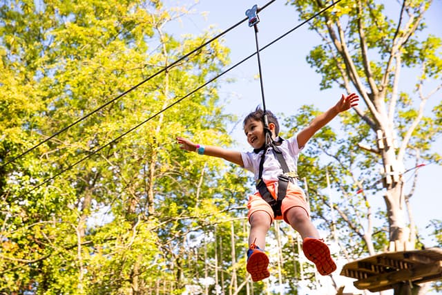 Go Ape - Alexandra Palace