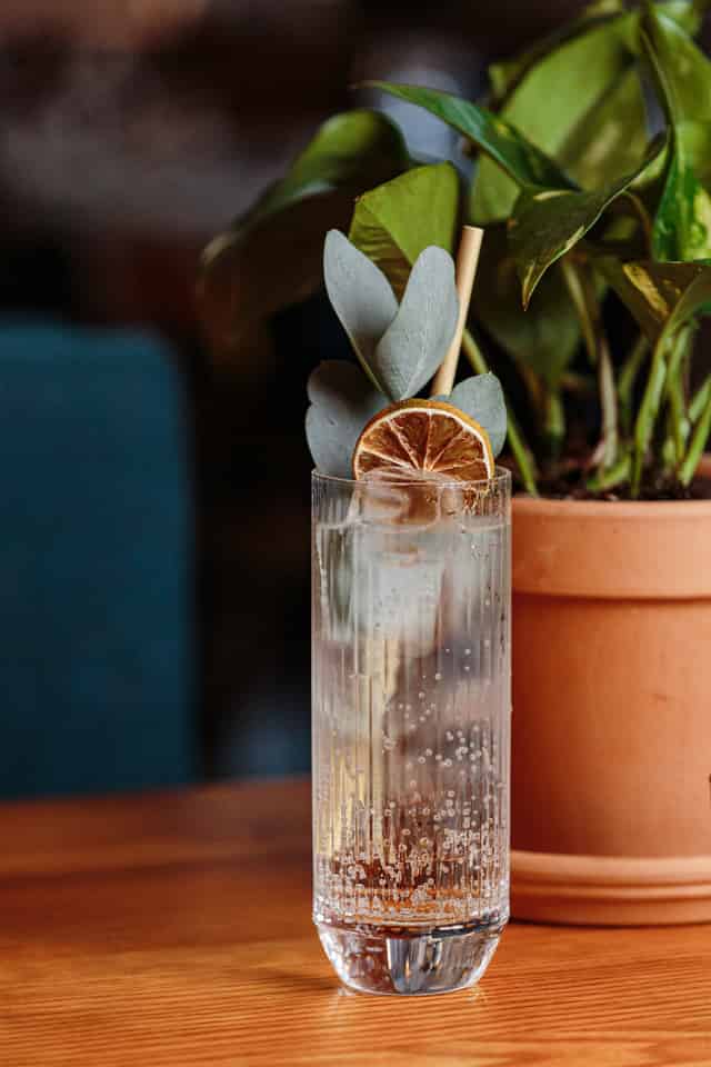 The Conservatory Bar