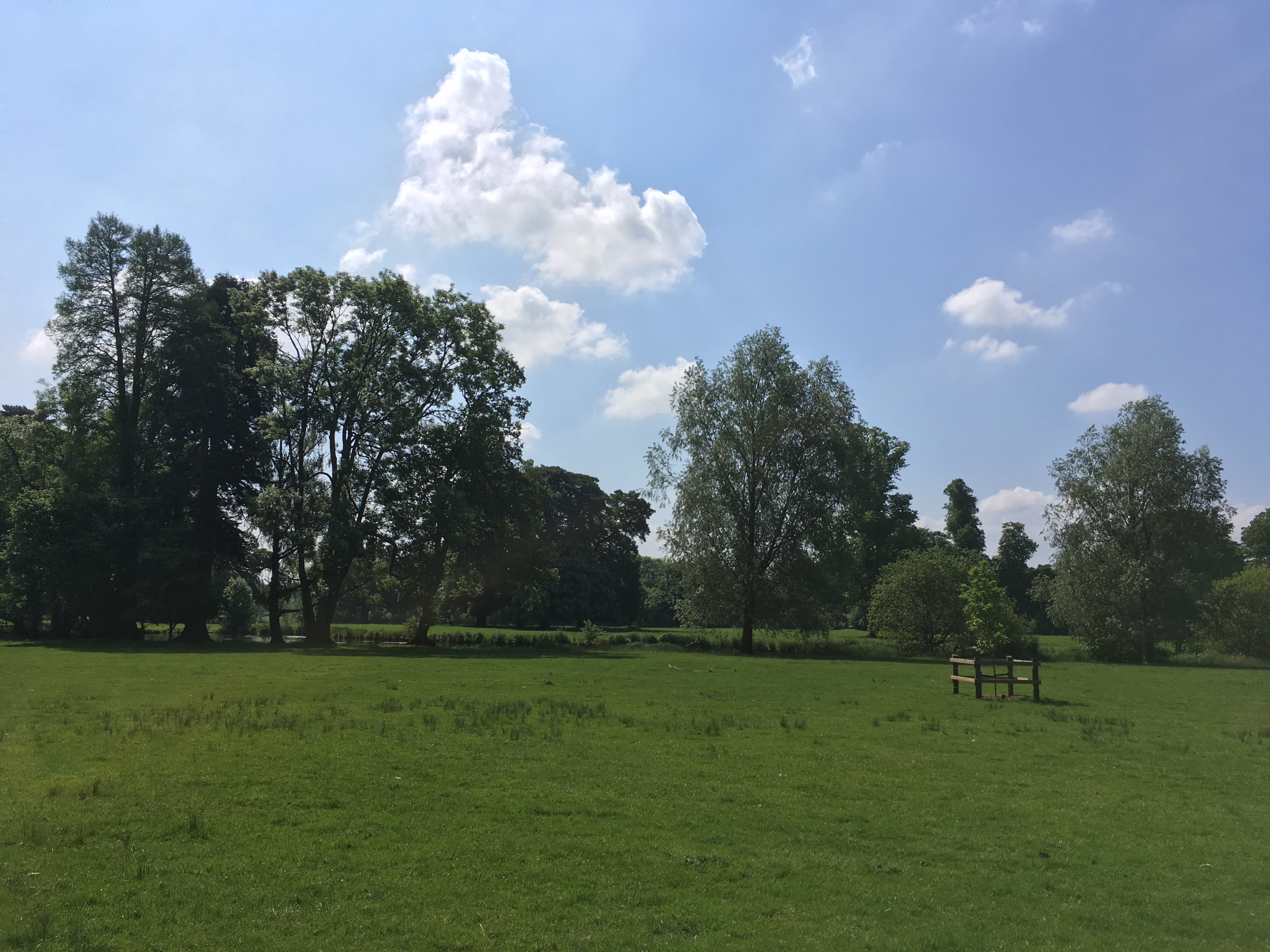 Woodland Lodge outdoor venue with lush greenery, ideal for events and gatherings. - Banner