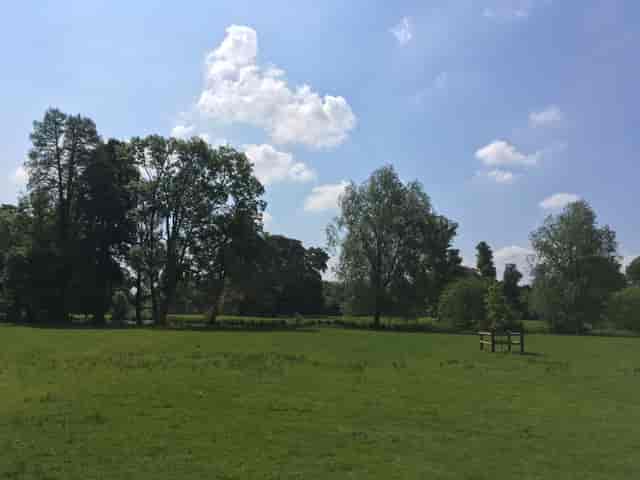 Woodland Lodge outdoor venue with lush greenery, ideal for events and gatherings.