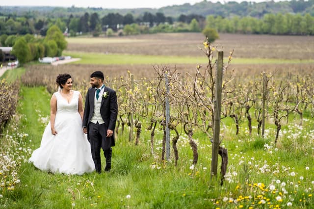 Denbies Wine Estate