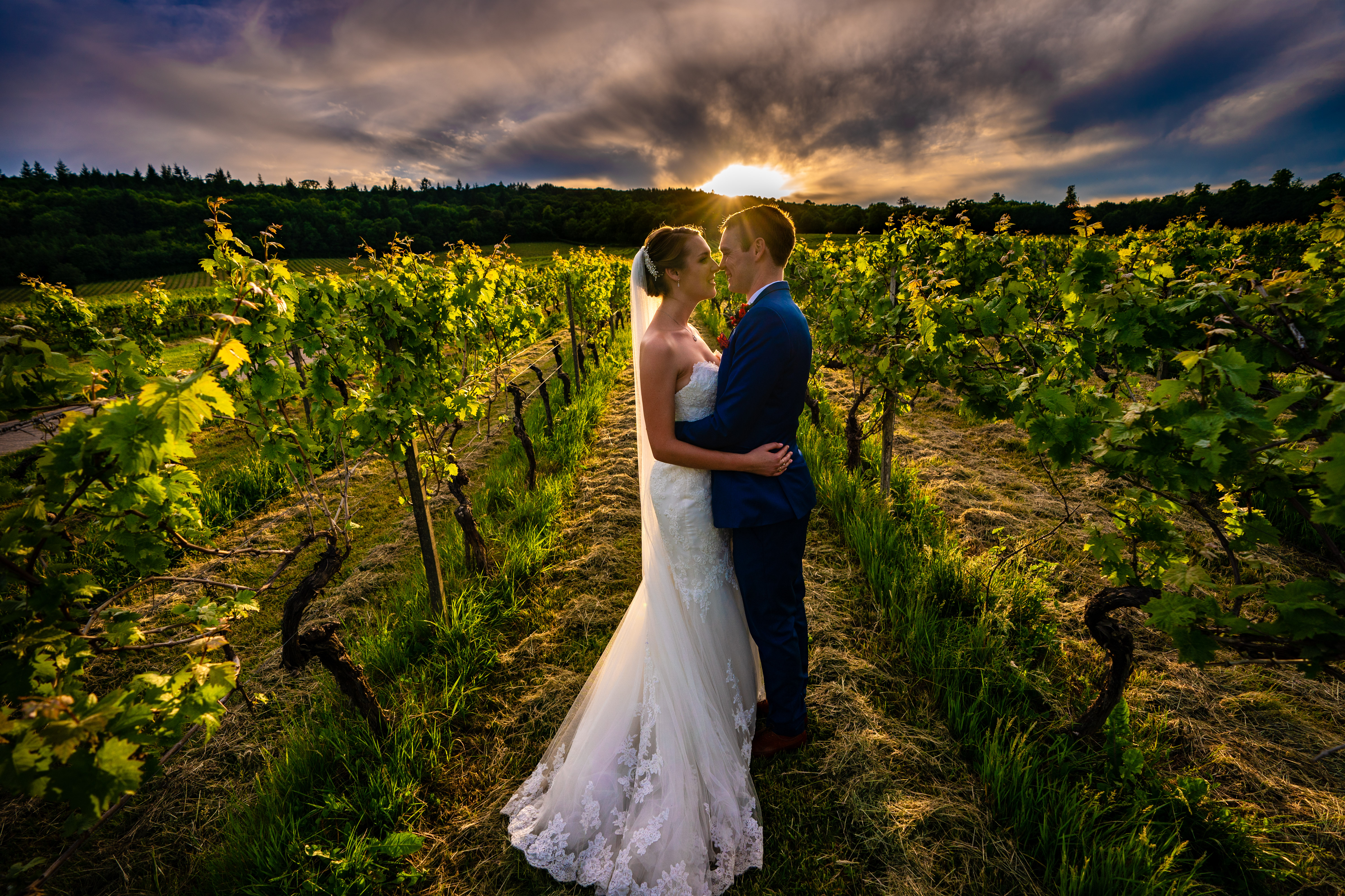 "Denbies Wine Estate Conservatory, romantic vineyard wedding venue with lush greenery." - Banner